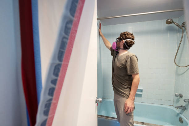 Best Environmental Consulting for Mold Prevention  in St Helena, CA