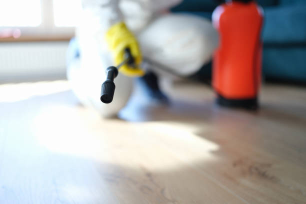 Best Mold Removal for HVAC Installations  in St Helena, CA