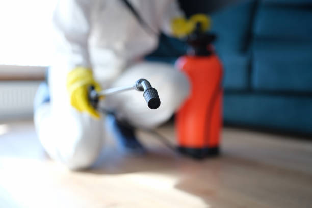Best Post-Construction Mold Inspection  in St Helena, CA