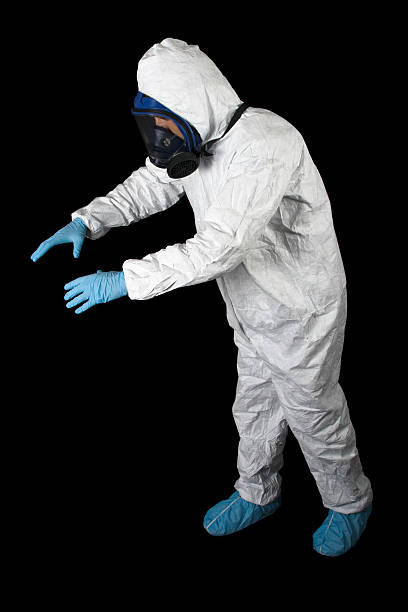 Best Basement Mold Removal  in St Helena, CA