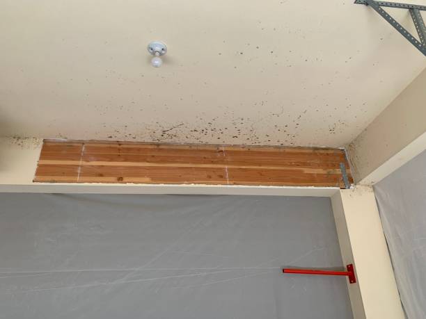 Best Indoor Air Quality Assessment  in St Helena, CA